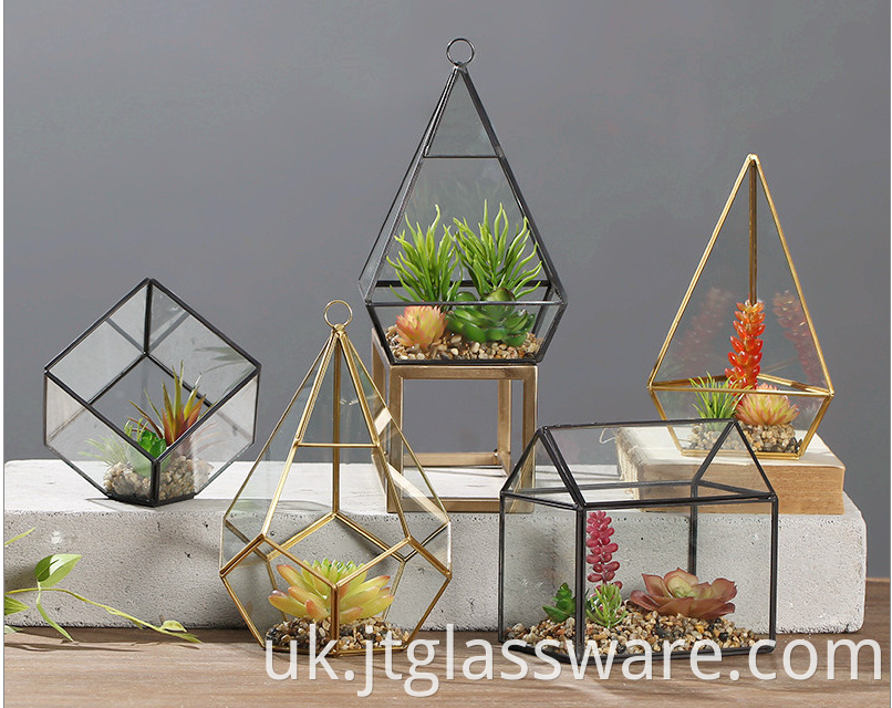 Glass Plant Terrarium